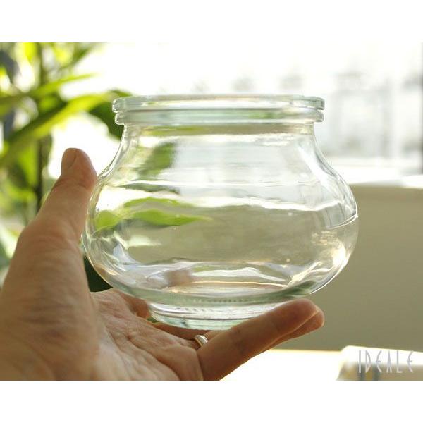 WECK（ウェック） デコシェイプ WE901 ガラスキャニスター 550ml 直径M