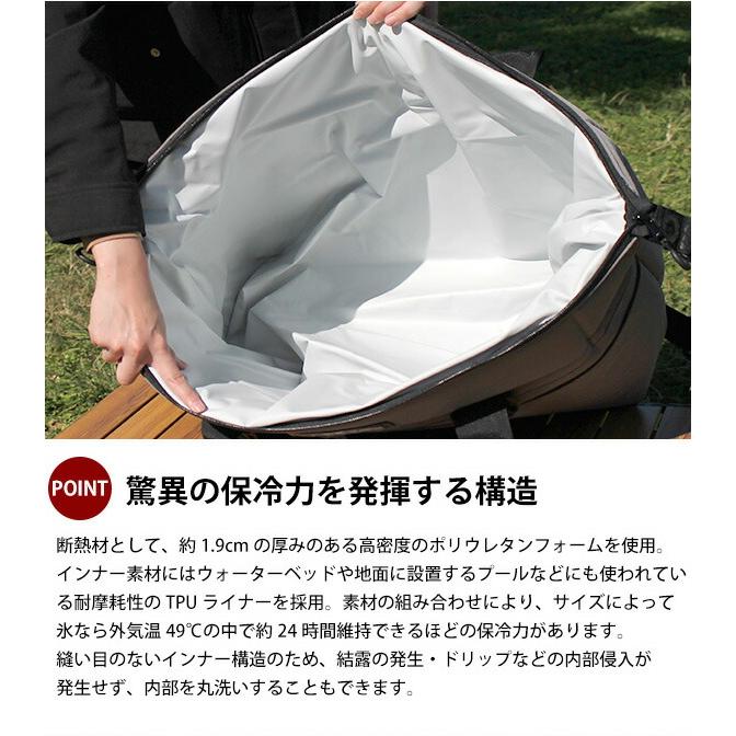 イコリア未開封box　36パック入り AO Coolers エーオークーラーズ 36パック キャンバス ソフト