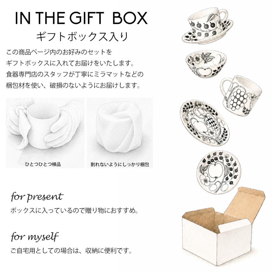 Paratiisi アラビア パラティッシ ブラック スターターセット 8点