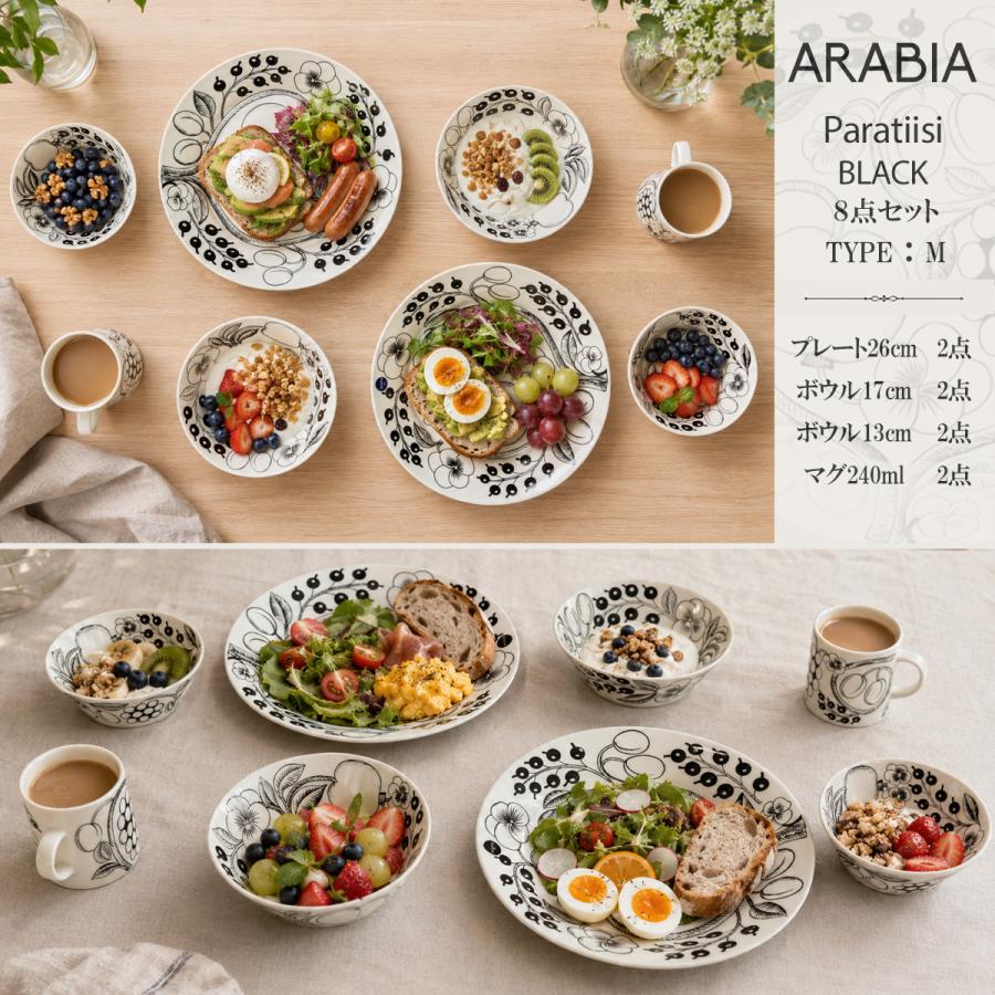 Paratiisi アラビア パラティッシ ブラック スターターセット 8点