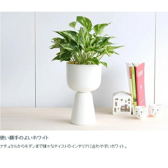 【ネロリ】 ナップラ　プラントポット ネロリ】 ナップラ プラントポット iittala Nappula Plant Pot