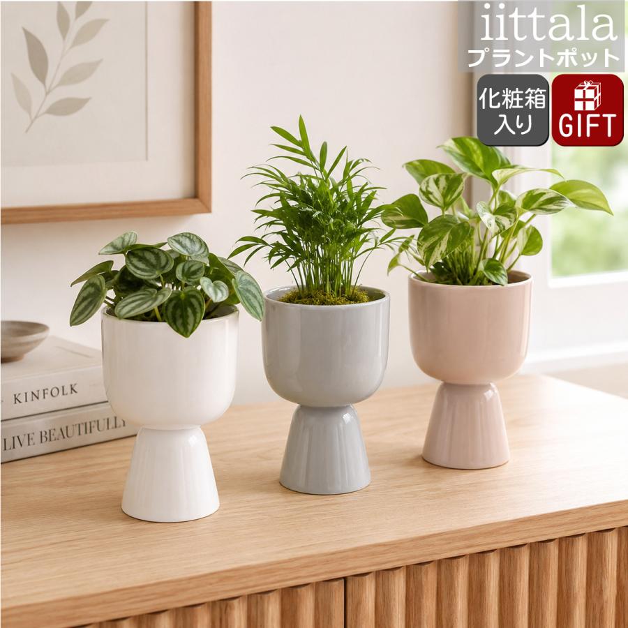 ナップラ イッタラ プラントポット 190x125mm iittala NAPPULA ベース