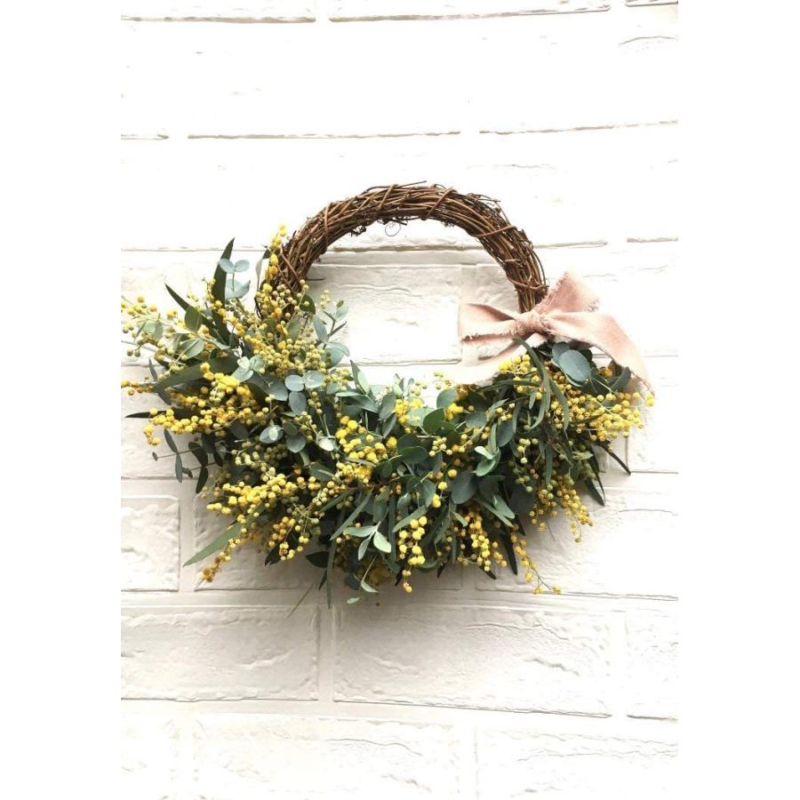 第1位獲得 Lulu S ルルズ ユーカリのハーフリース ナチュラル ドライフラワー サイズ 高さ約28cm 幅約28cm 奥行約10cm ユーカリのハ 春夏新色 Iniciatupyme Cl