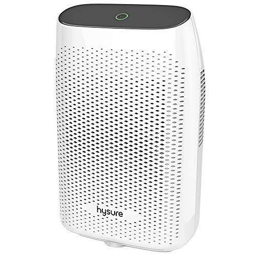 最高の Hysure 除湿機 小型 00ml 梅雨 湿気対策 衣類乾燥 部屋干し カビ防止 静音 満水自動停止 省エネ 寝室 押入れ トイレ ク 受賞店舗 Atempletonphoto Com
