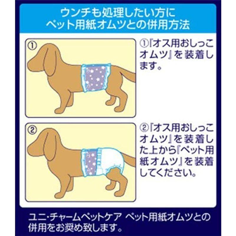 男の子用おしっこオムツ Sサイズ 小型犬 枚 トイレトレーニング用品 Mail Clyfe Co