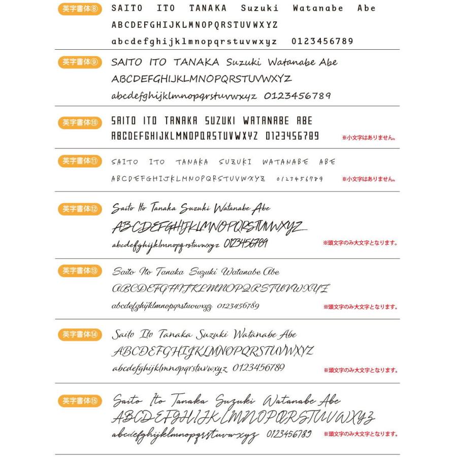 表札 おしゃれ 戸建て ネームプレート シール マグネット アクリル 二世帯 猫 マンション 犬  長方形 額縁 名前 プレート 個展(acrylic-np35) | IDEA MAKER | 20