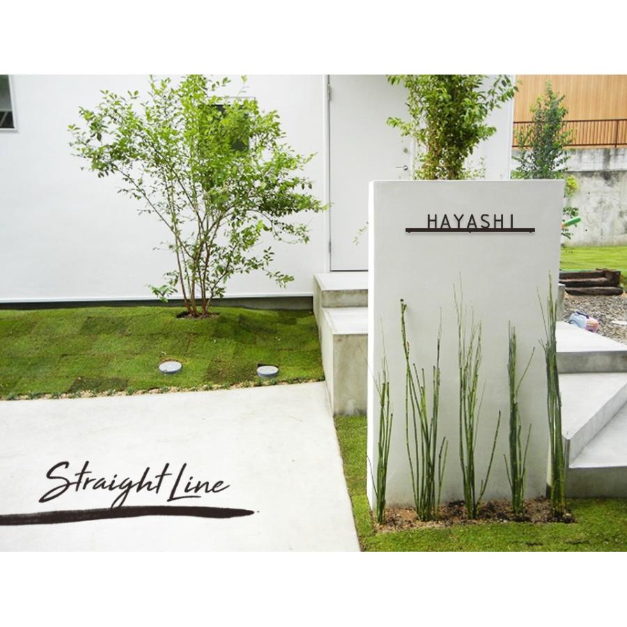 表札 おしゃれ 戸建て ステンレス アイアン 二世帯 切り文字 アイアン風ステンレス表札(ストレートライン)(iron-np05) | IDEA MAKER | 15