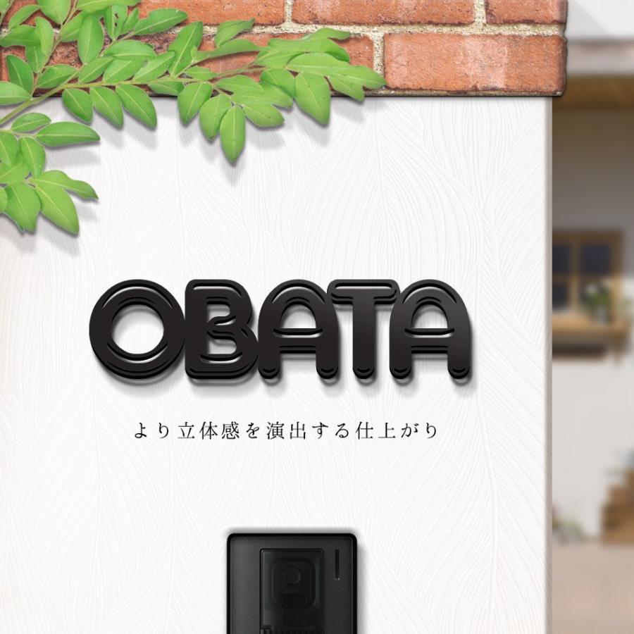 表札 おしゃれ 戸建て ステンレス アイアン 切り文字 二世帯 アイアン風ステンレス表札(ジョイフル)(iron-np16) | IDEA MAKER | 14