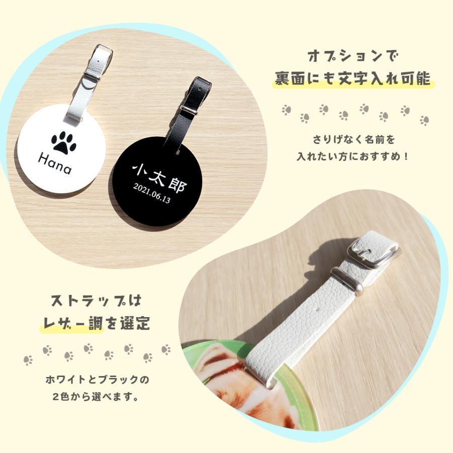 ネームタグ ゴルフ 子供 名入れ ベルト 犬 猫 写真 うちの子 おしゃれ オーダー 名札 プレゼント ペット メモリアル MARCAM(nametag02) | ブランド登録なし | 11