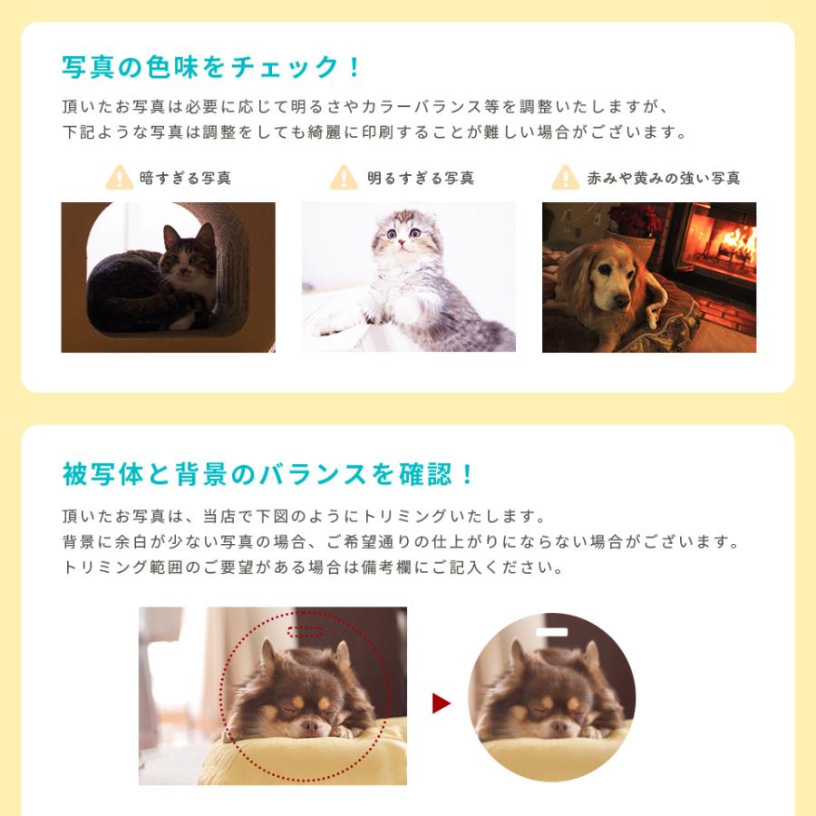 ネームタグ ゴルフ 子供 名入れ ベルト 犬 猫 写真 うちの子 おしゃれ オーダー 名札 プレゼント ペット メモリアル MARCAM(nametag02) | ブランド登録なし | 14
