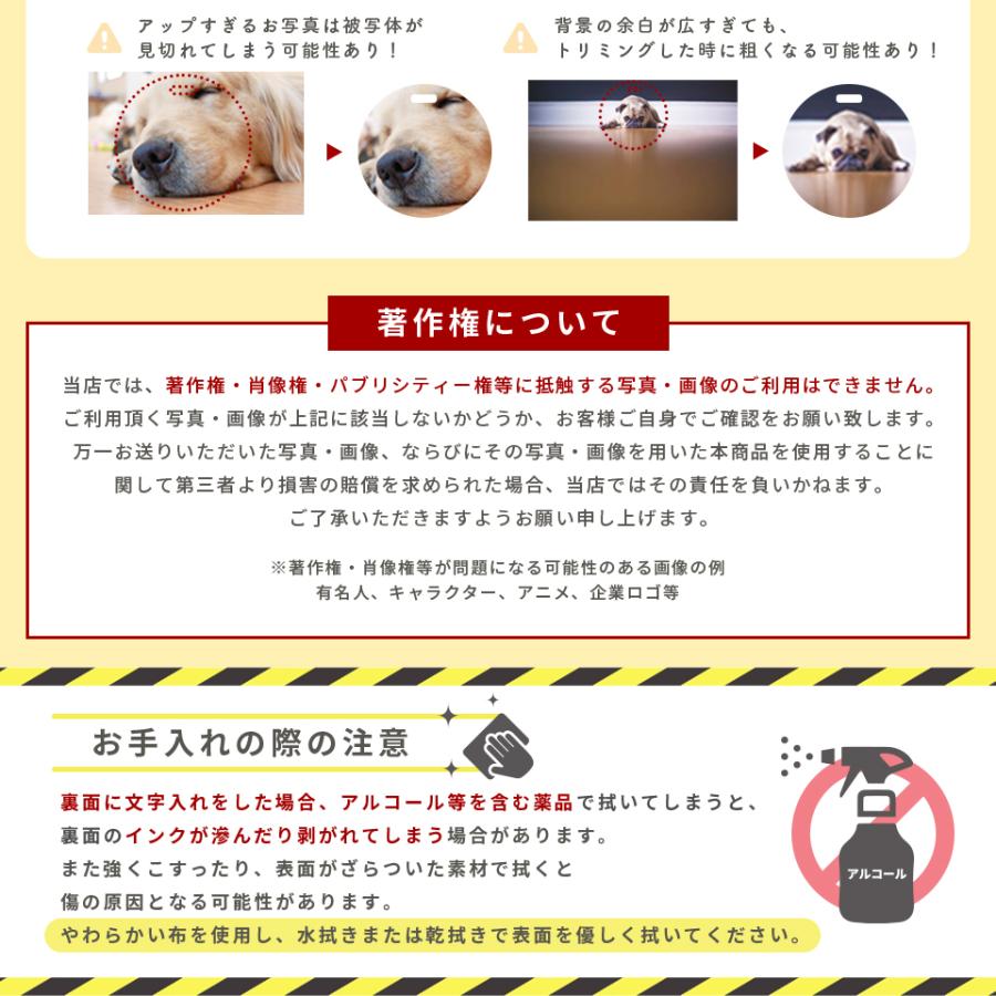 ネームタグ ゴルフ 子供 名入れ ベルト 犬 猫 写真 うちの子 おしゃれ オーダー 名札 プレゼント ペット メモリアル MARCAM(nametag02) | ブランド登録なし | 15