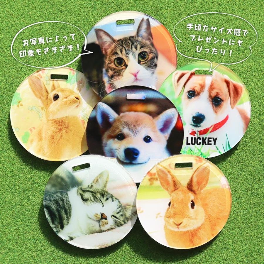 ネームタグ ゴルフ 子供 名入れ ベルト 犬 猫 写真 うちの子 おしゃれ オーダー 名札 プレゼント ペット メモリアル MARCAM(nametag02) | ブランド登録なし | 03
