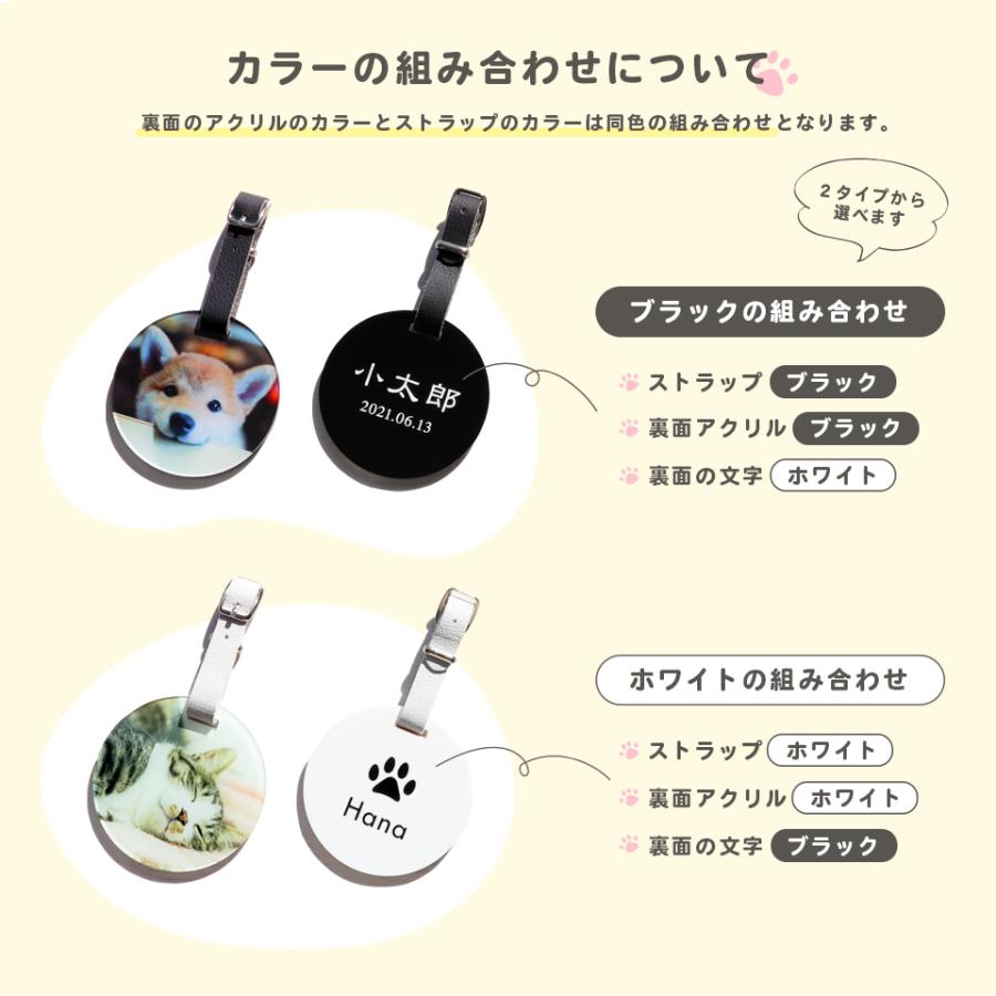 ネームタグ ゴルフ 子供 名入れ ベルト 犬 猫 写真 うちの子 おしゃれ オーダー 名札 プレゼント ペット メモリアル MARCAM(nametag02) | ブランド登録なし | 05