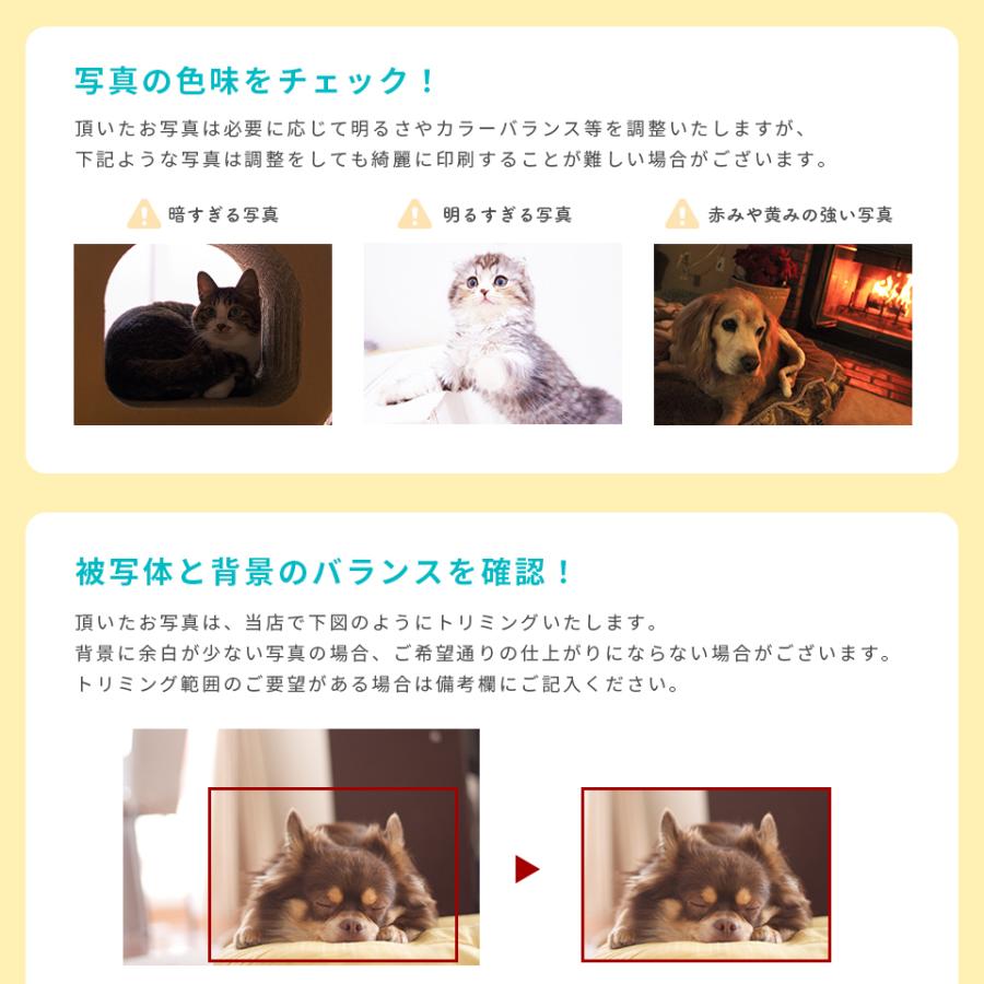 ペット メモリアル フォトフレーム 犬 猫 写真 名入れ ウチの子フォトフレーム 名前 入り 写真立て プレゼント 誕生日 お祝い お返し 記念品 (pet-pf01) | IDEA MAKER | 13