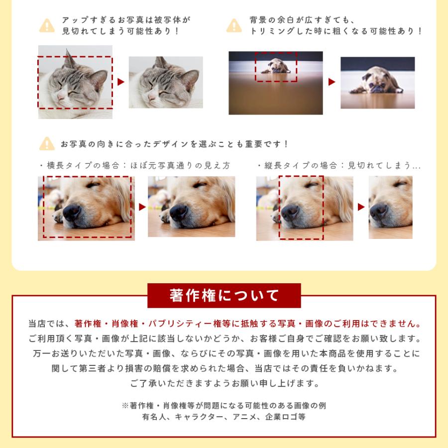 ペット メモリアル フォトフレーム 犬 猫 写真 名入れ ウチの子フォトフレーム 名前 入り 写真立て プレゼント 誕生日 お祝い お返し 記念品 (pet-pf01) | IDEA MAKER | 14