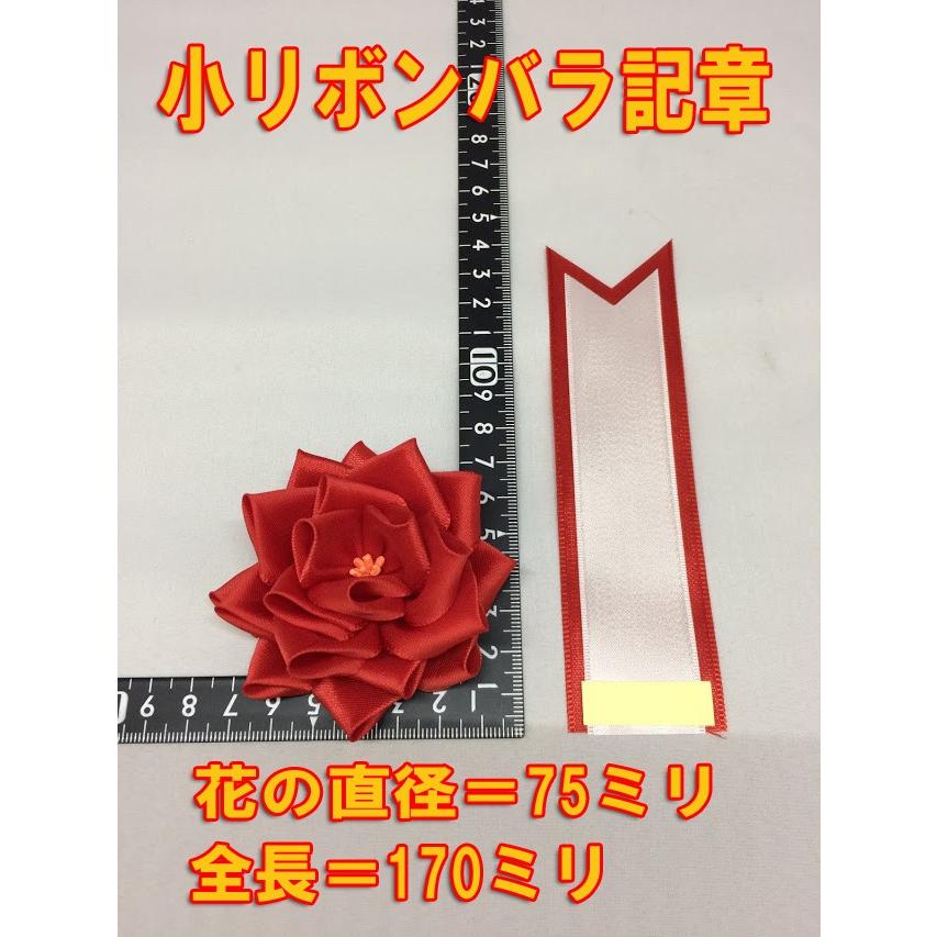 【数量限定】リボン記章 (胸章 徽章) 中リボンバラ タレ付き 12個セット ( Amazon | YONEOKA RIBBON リボン記章 (胸章 徽章) 中リボンバラ タレ