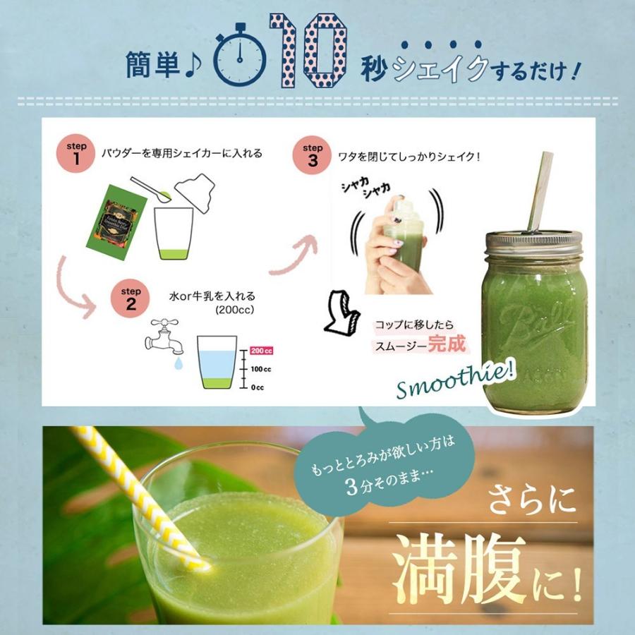 置き換えダイエット食品 ダイエット食品 New グリーンスムージー 粉末 酵素 大容量300g グリーンベリースムージーダイエット160酵素mix トロピカルマンゴー味