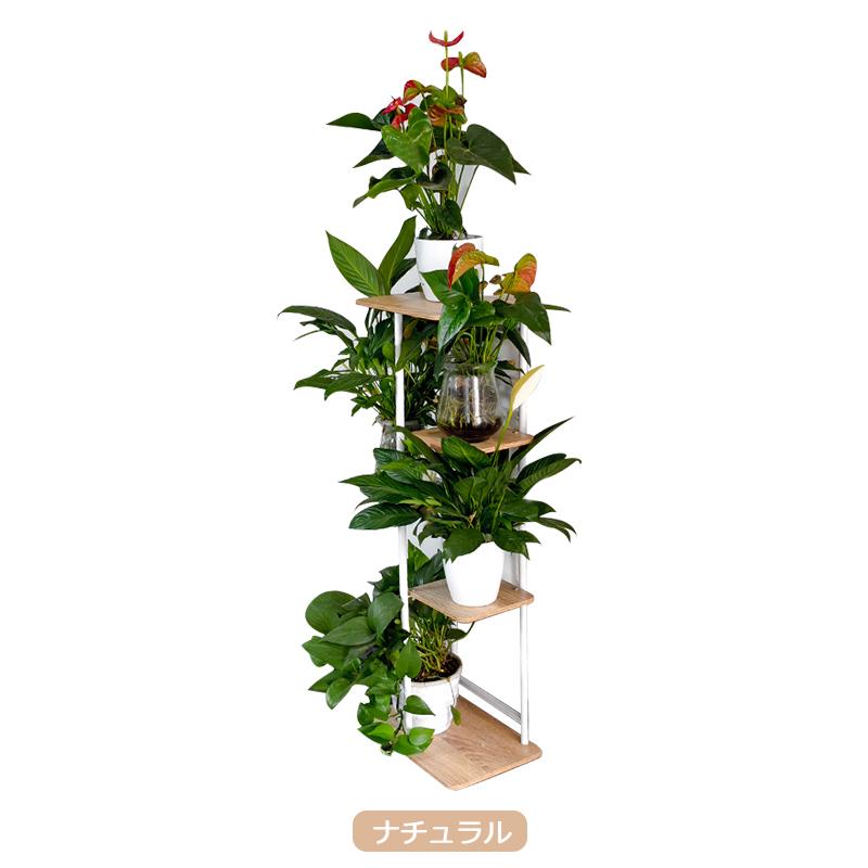 フラワースタンド 室内 5段 プランタースタンド 植木鉢 アイアン