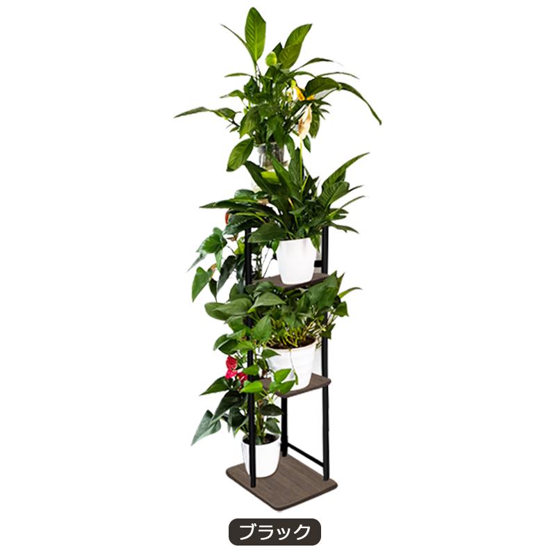 フラワースタンド 室内 5段 プランタースタンド 植木鉢 アイアン