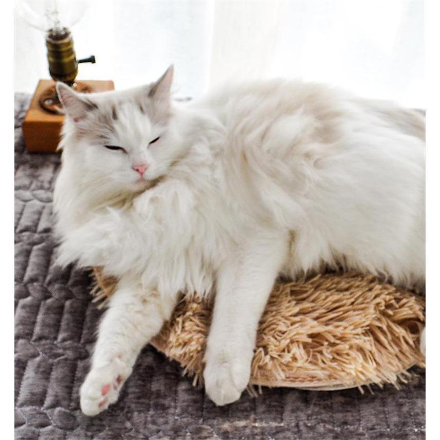 ペット用保温パッド ホットカーペット 犬用 猫用 USB式 室内保温パッド ペット電気毛布 電熱マット 電気暖房パッド 暖かい 防寒 室内用 子犬 猫 | ブランド登録なし | 03