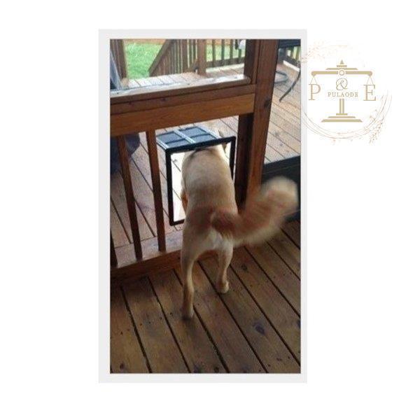 網戸用ペットドア 網戸専用 犬猫出入り口 通り抜け くぐり抜け ゲート 犬用 猫用 小型犬用 中型犬用 ペットグッズ ペット用品 簡単取り付け 蚊よけ | ブランド登録なし | 02