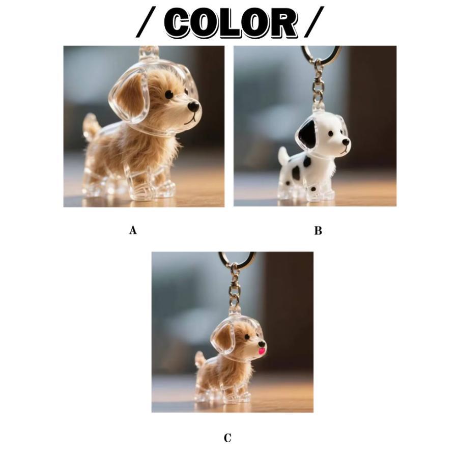 【3個セット】ペット 遺毛ケース 犬 キーホルダー 透明 遺毛入れ 記念のボトル 毛収納 ペットメモリアルボトル ヒゲケース 思い出 保管 かわいい | ブランド登録なし | 06