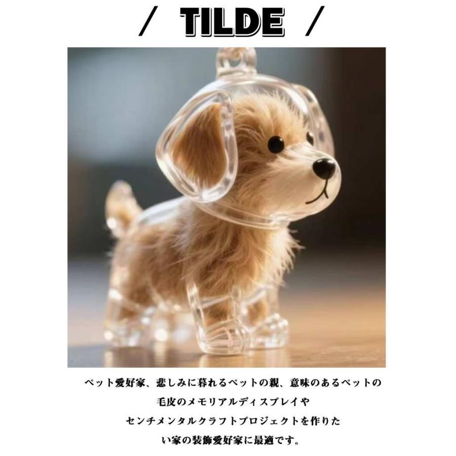 【3個セット】ペット 遺毛ケース 犬 キーホルダー 透明 遺毛入れ 記念のボトル 毛収納 ペットメモリアルボトル ヒゲケース 思い出 保管 かわいい | ブランド登録なし | 08