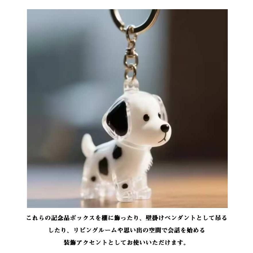 【3個セット】ペット 遺毛ケース 犬 キーホルダー 透明 遺毛入れ 記念のボトル 毛収納 ペットメモリアルボトル ヒゲケース 思い出 保管 かわいい | ブランド登録なし | 09