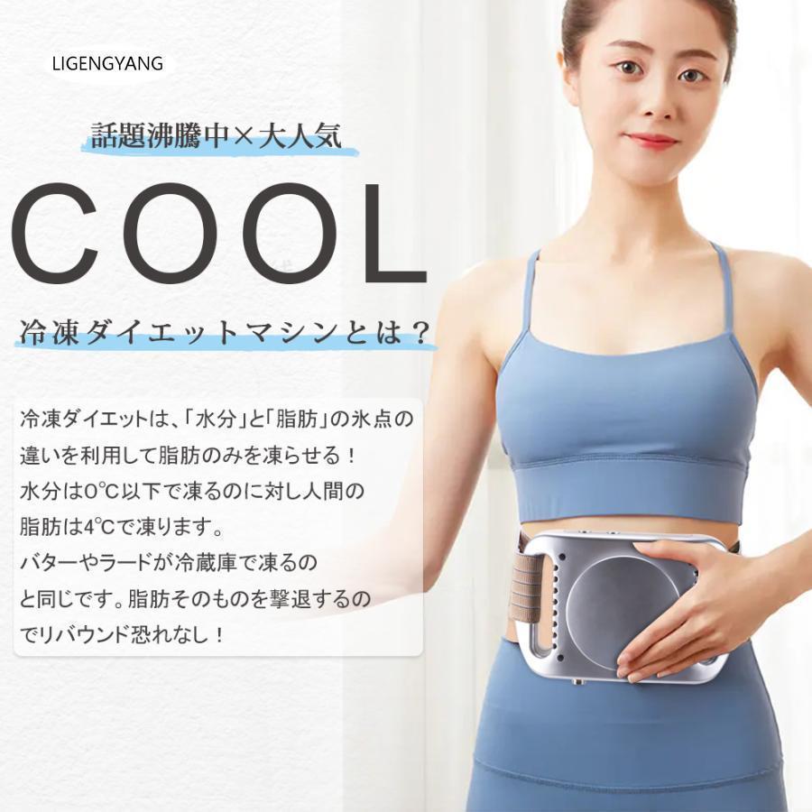 冷凍ダイエットマシン セルライト痩身マシン 脂肪冷却 腹部 太もも お腹 お尻 背中 ヒップ キャビテーション 自宅 ふくらはぎ 全身ダイエット |  | 04