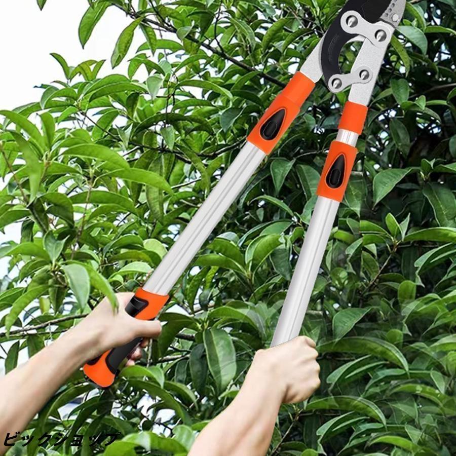 園芸用ばさみ 太枝切鋏 切断径55mm 強力型 剪定ばさみ テコ式伸縮長さ69-103cｍ 高枝切りバサミ 趣味の園芸用品 樹木の剪定が簡単にできる園芸鋏 |  | 07