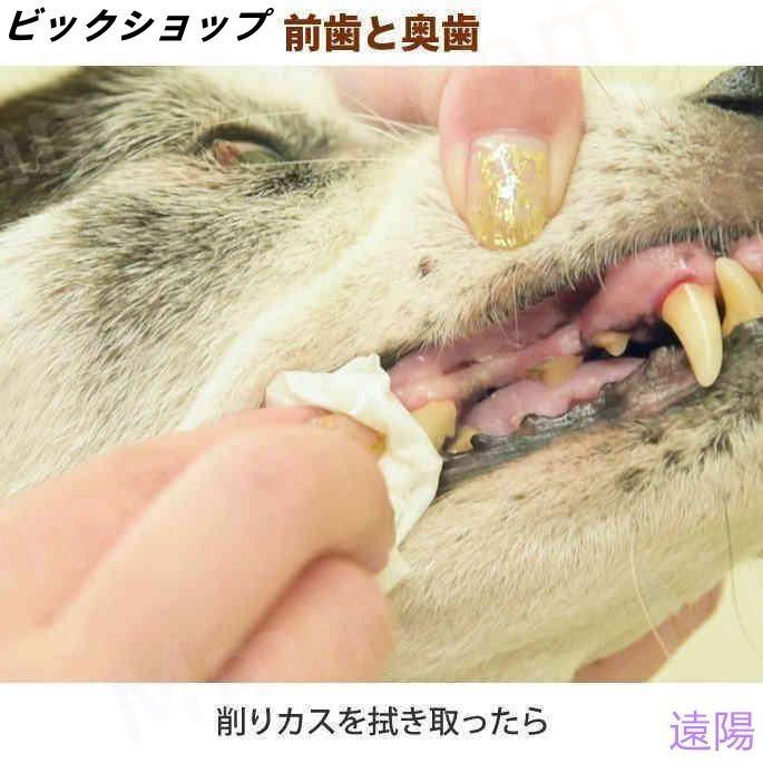 愛犬・愛猫用 歯石取り ペンチ 犬 歯石 デンタルケア ホームケア 猫 プロも愛用 |  | 13