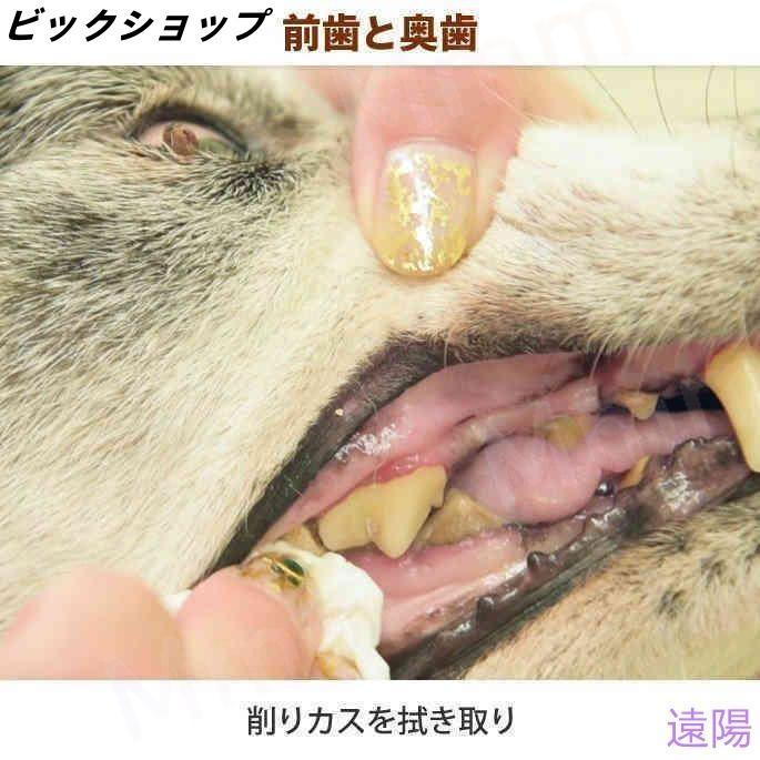 愛犬・愛猫用 歯石取り ペンチ 犬 歯石 デンタルケア ホームケア 猫 プロも愛用 |  | 15