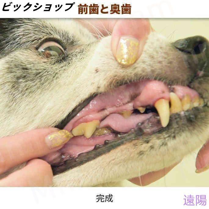 愛犬・愛猫用 歯石取り ペンチ 犬 歯石 デンタルケア ホームケア 猫 プロも愛用 |  | 17