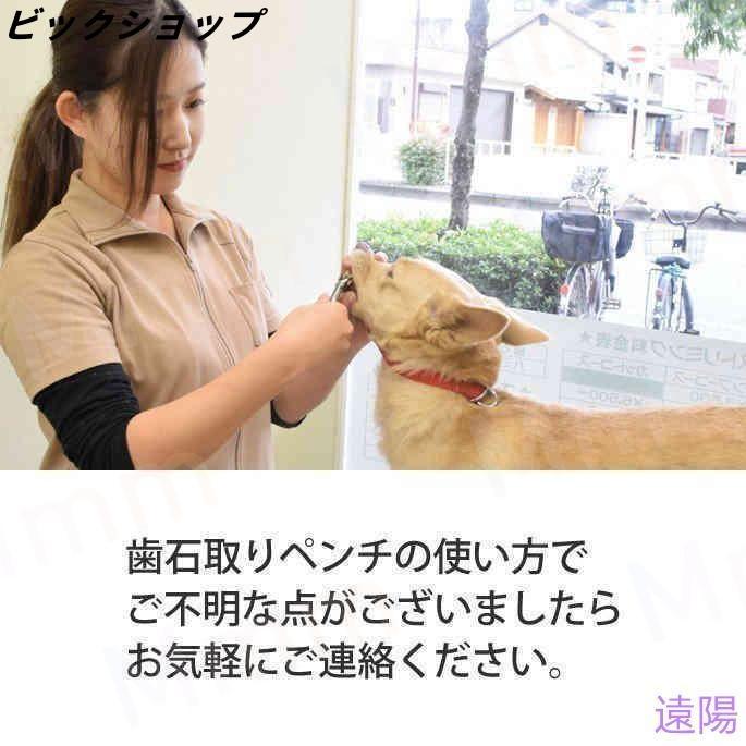 愛犬・愛猫用 歯石取り ペンチ 犬 歯石 デンタルケア ホームケア 猫 プロも愛用 |  | 18
