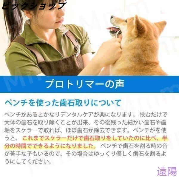 愛犬・愛猫用 歯石取り ペンチ 犬 歯石 デンタルケア ホームケア 猫 プロも愛用 |  | 19