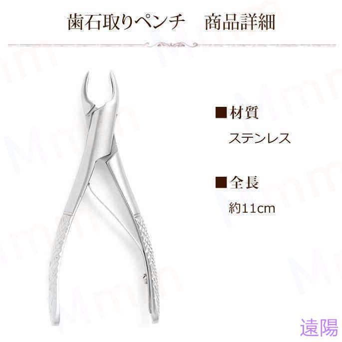 愛犬・愛猫用 歯石取り ペンチ 犬 歯石 デンタルケア ホームケア 猫 プロも愛用 |  | 01