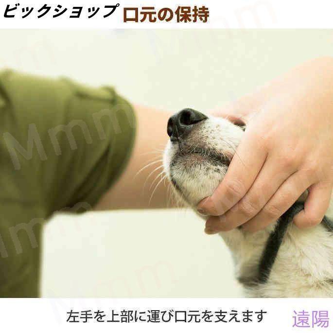 愛犬・愛猫用 歯石取り ペンチ 犬 歯石 デンタルケア ホームケア 猫 プロも愛用 |  | 06