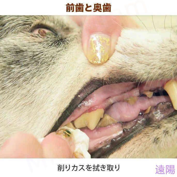 愛犬・愛猫用 歯石取り ペンチ 犬 歯石 デンタルケア ホームケア 猫