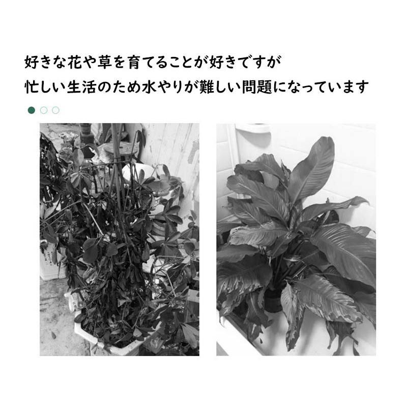 自動給水キャップ 6/9/12個セット 6/9/12PCS 水やり 水やり当番 自動水やり器 自動給水器 植物 じょうろ 散水 水遣り器 挿すだけ 水量調節可能 ボトル対応 園芸 | ブランド登録なし | 02