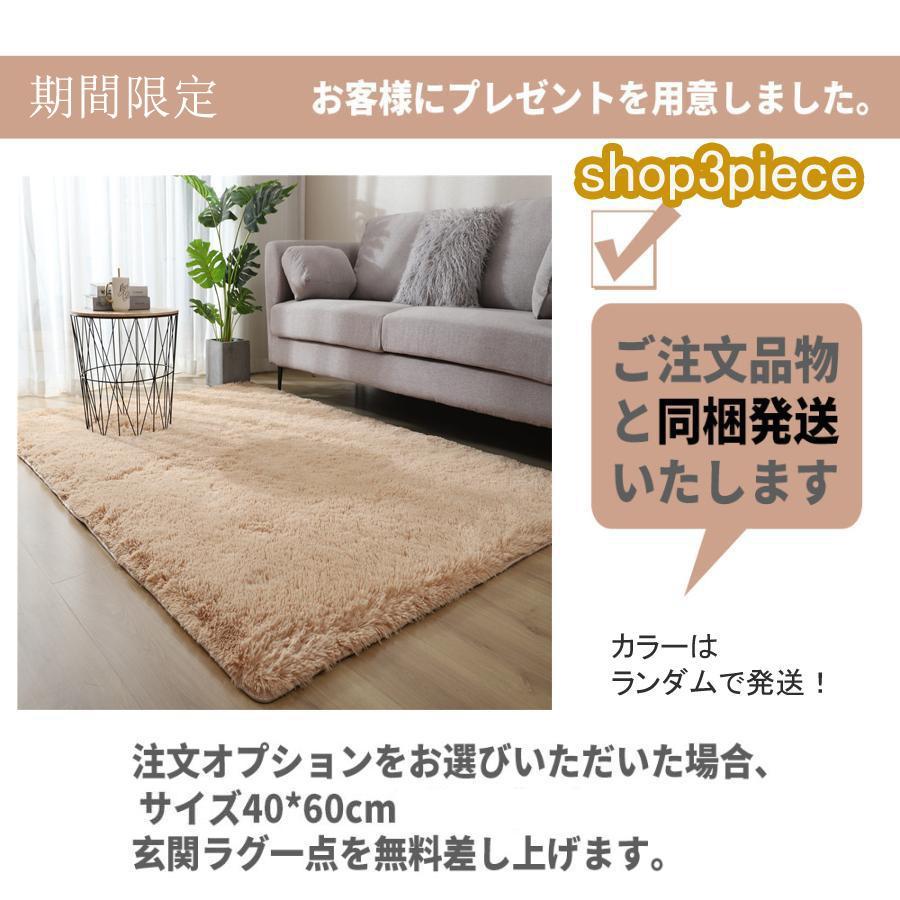 カーペット 洗える 四季 ラグ じゅうたん オールシーズン シャギーラグ ウォッシャブル リビング 長方形 四角 北欧 滑り止め付き おしゃれ 春夏秋冬 廊下 マット | ブランド登録なし | 01