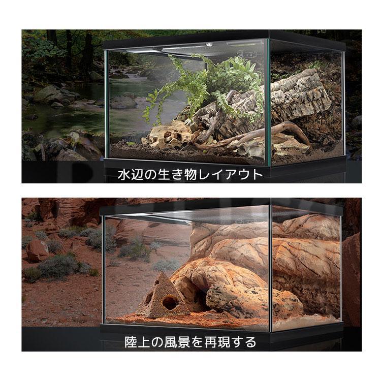テラリウム 爬虫類 飼育 ケージ 両生類 カメ カニ グラステラリウム