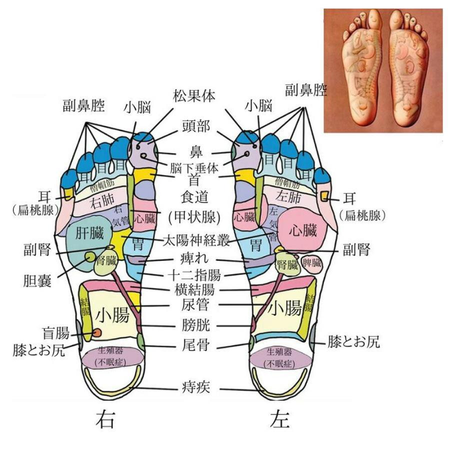 足ツボマット 足ツボ押し ダイエット 効果 八角形 9個磁石つき 足の