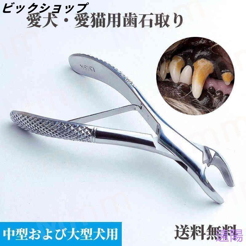 愛犬・愛猫用 歯石取り ペンチ 犬 歯石 デンタルケア ホームケア 猫 プロも愛用 | ブランド登録なし