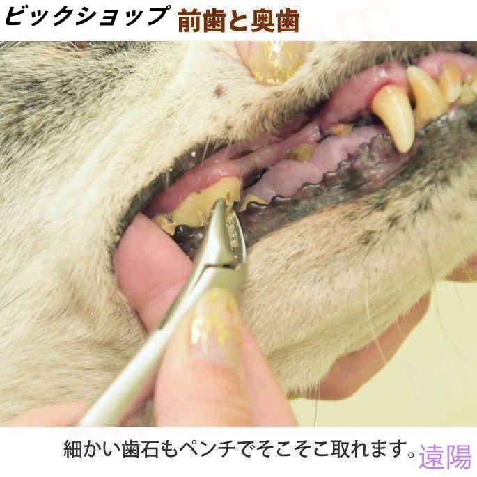 愛犬・愛猫用 歯石取り ペンチ 犬 歯石 デンタルケア ホームケア 猫 プロも愛用 | ブランド登録なし | 12