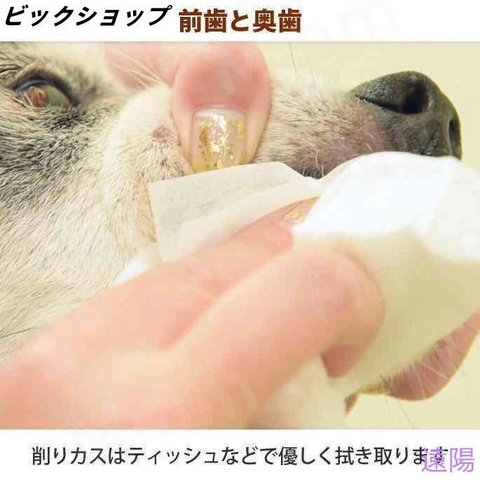 愛犬・愛猫用 歯石取り ペンチ 犬 歯石 デンタルケア ホームケア 猫 プロも愛用 | ブランド登録なし | 16