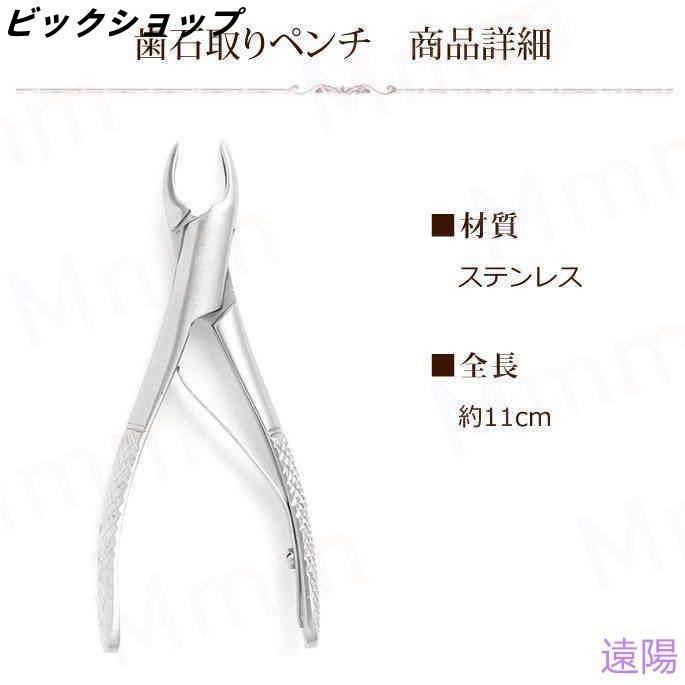 愛犬・愛猫用 歯石取り ペンチ 犬 歯石 デンタルケア ホームケア 猫 プロも愛用 | ブランド登録なし | 02