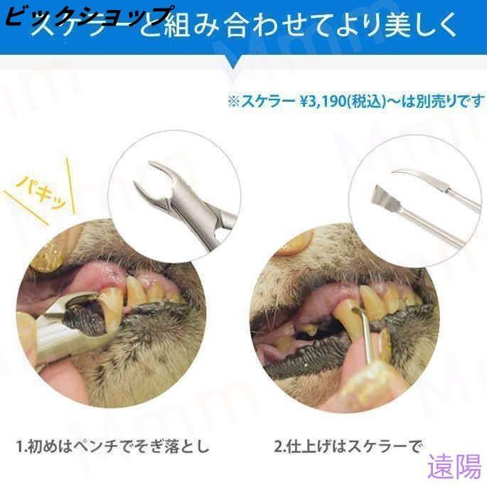 愛犬・愛猫用 歯石取り ペンチ 犬 歯石 デンタルケア ホームケア 猫 プロも愛用 | ブランド登録なし | 04