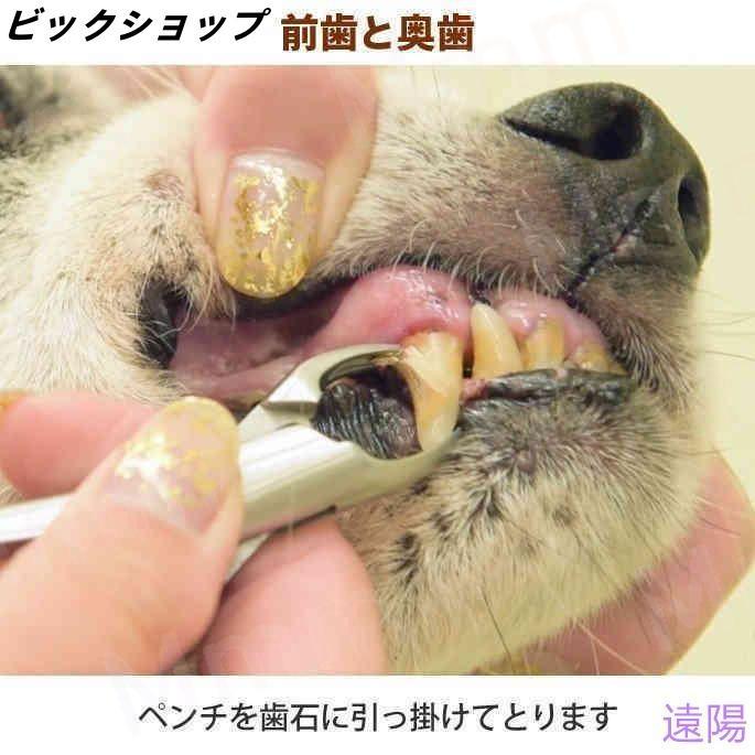 愛犬・愛猫用 歯石取り ペンチ 犬 歯石 デンタルケア ホームケア 猫 プロも愛用 | ブランド登録なし | 08