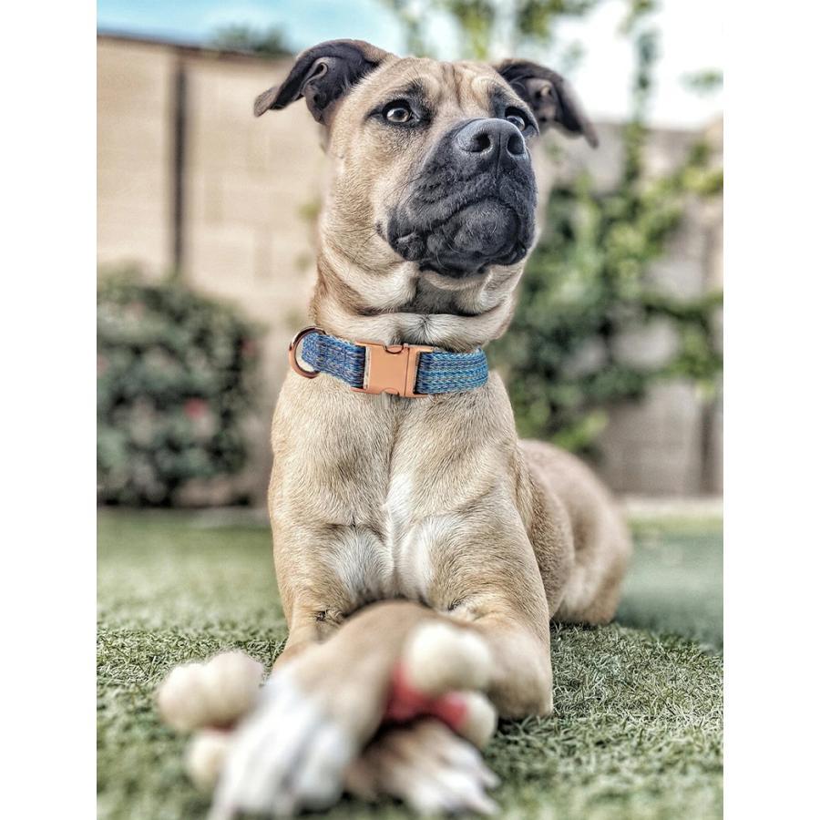 猫 犬 首輪 名入れ ふわふわ リードセット XS?L サイズ【送料無料】ネーム入り 迷子札 名札 電話番号入り ワンタッチ バックル 痛くない 首に優しい おしゃれ | ブランド登録なし | 02