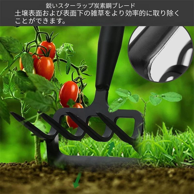 草取り道具 雑草取り器具 草むしり 便利グッズ 雑草抜き 草むしり 便利グッズ 2in1 土をほぐす 種まき 除草 葉集め 4ノット 柄付 園芸用品 草取りグッズ | ブランド登録なし | 03